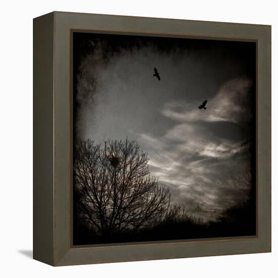Two Birds Retum to Nest at Dusk-Luis Beltran-Framed Premier Image Canvas