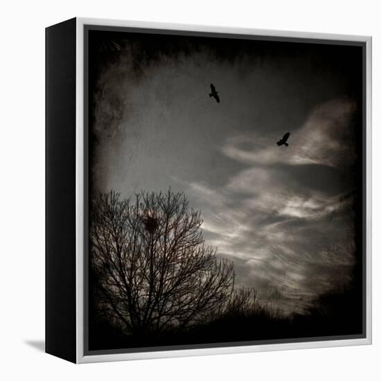 Two Birds Retum to Nest at Dusk-Luis Beltran-Framed Premier Image Canvas