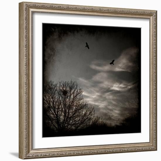 Two Birds Retum to Nest at Dusk-Luis Beltran-Framed Photographic Print