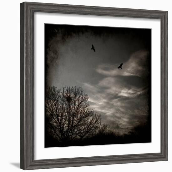 Two Birds Retum to Nest at Dusk-Luis Beltran-Framed Photographic Print