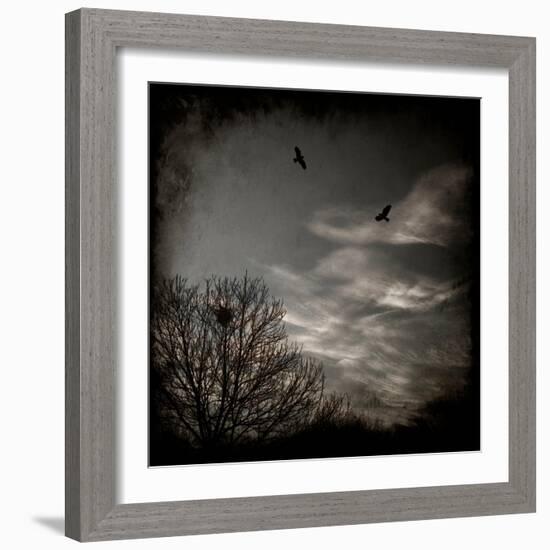 Two Birds Retum to Nest at Dusk-Luis Beltran-Framed Photographic Print