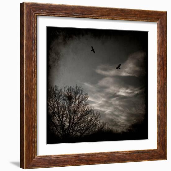 Two Birds Retum to Nest at Dusk-Luis Beltran-Framed Photographic Print