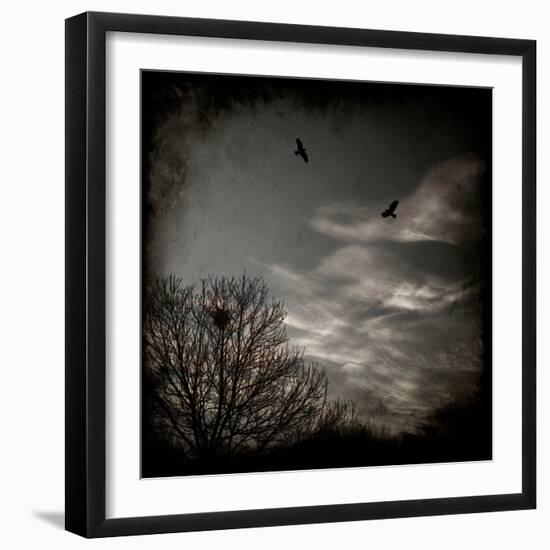 Two Birds Retum to Nest at Dusk-Luis Beltran-Framed Photographic Print