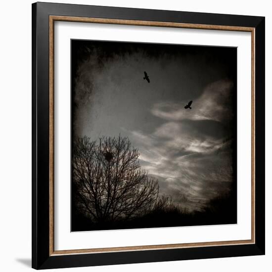 Two Birds Retum to Nest at Dusk-Luis Beltran-Framed Photographic Print