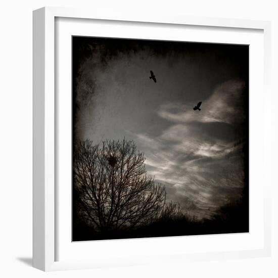 Two Birds Retum to Nest at Dusk-Luis Beltran-Framed Photographic Print