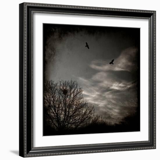 Two Birds Retum to Nest at Dusk-Luis Beltran-Framed Photographic Print