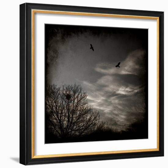 Two Birds Retum to Nest at Dusk-Luis Beltran-Framed Photographic Print