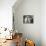Two Birman Cats Sitting on Furniture, Interacting-Adriano Bacchella-Framed Premier Image Canvas displayed on a wall