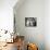 Two Birman Cats Sitting on Furniture, Interacting-Adriano Bacchella-Mounted Photographic Print displayed on a wall