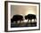 Two Bison Silhouetted Against Rising Sun, Yellowstone National Park, Wyoming, USA-Pete Cairns-Framed Photographic Print