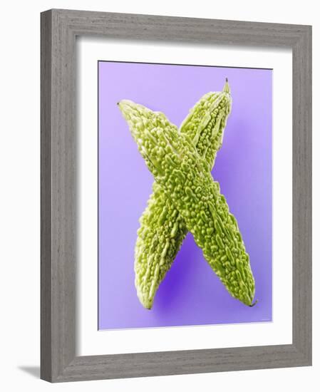 Two Bitter Gourds-null-Framed Photographic Print