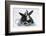 Two Black-And-White Baby Dutch X Lionhead Rabbits with Silver Christmas Tinsel-Mark Taylor-Framed Photographic Print