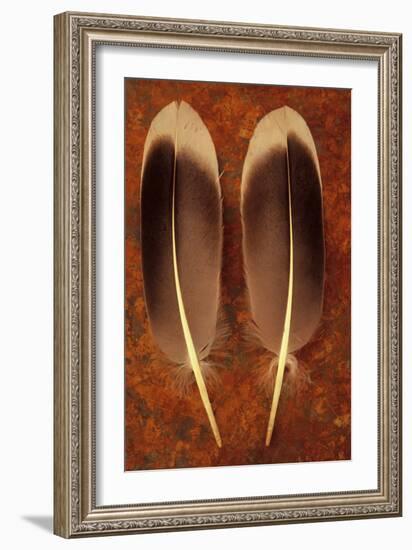 Two Black And White Feathers-Den Reader-Framed Photographic Print