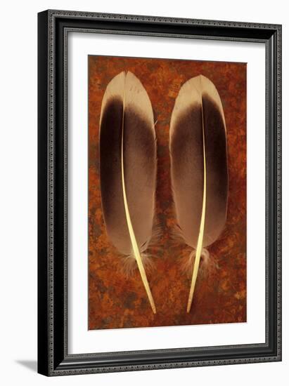 Two Black And White Feathers-Den Reader-Framed Photographic Print