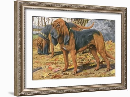 Two Bloodhounds Standing-Louis Agassiz Fuertes-Framed Art Print