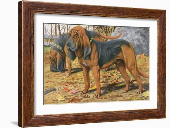 Two Bloodhounds Standing-Louis Agassiz Fuertes-Framed Art Print