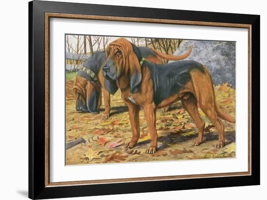 Two Bloodhounds Standing-Louis Agassiz Fuertes-Framed Art Print