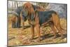 Two Bloodhounds Standing-Louis Agassiz Fuertes-Mounted Art Print