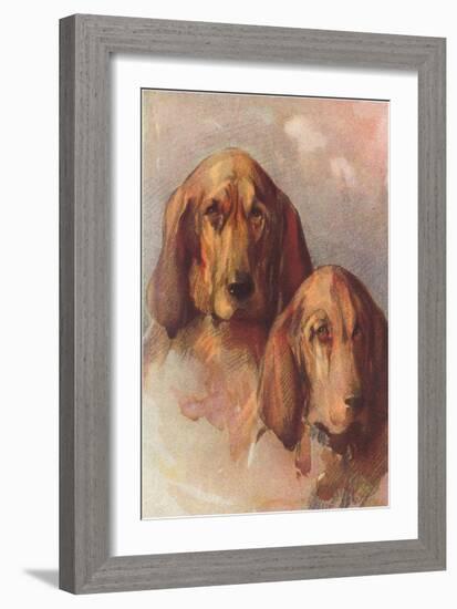 Two Bloodhounds-null-Framed Art Print