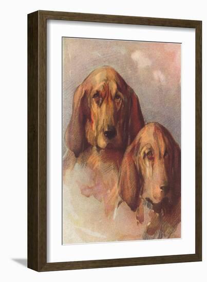 Two Bloodhounds-null-Framed Art Print