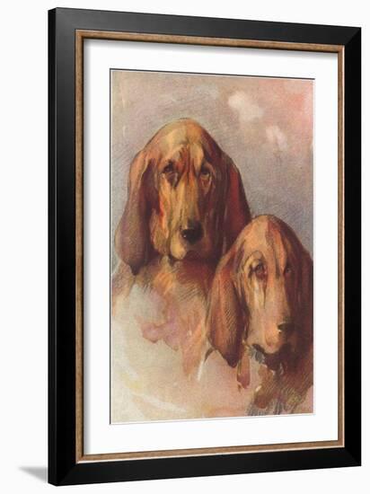 Two Bloodhounds-null-Framed Art Print