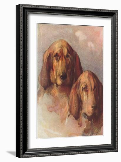 Two Bloodhounds-null-Framed Art Print