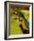 Two Blue and Gold Macaws-Lisa S. Engelbrecht-Framed Photographic Print