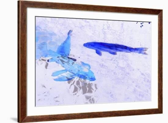 Two Blue Fish-Tom Kelly-Framed Giclee Print