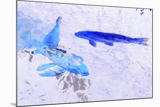 Two Blue Fish-Tom Kelly-Mounted Giclee Print