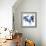 Two blue tulips-Hiroyuki Izutsu-Framed Giclee Print displayed on a wall