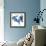 Two blue tulips-Hiroyuki Izutsu-Framed Giclee Print displayed on a wall