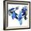 Two blue tulips-Hiroyuki Izutsu-Framed Giclee Print