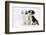 Two Border Collie Puppies Sitting-Mark Taylor-Framed Photographic Print