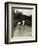 Two Boys Bathing-Emerson Peter Henry-Framed Giclee Print