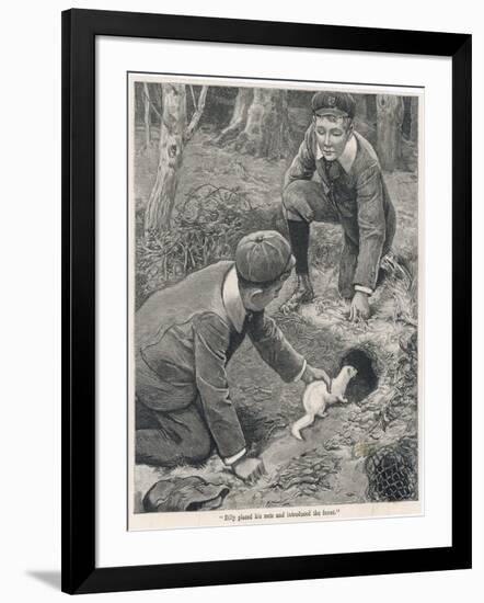Art Print, , large