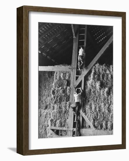 Two Boys Playing in a Barn-Ed Clark-Framed Photographic Print