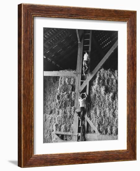 Two Boys Playing in a Barn-Ed Clark-Framed Photographic Print