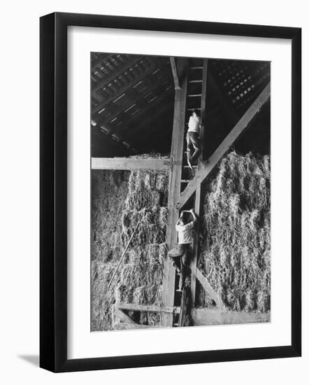 Two Boys Playing in a Barn-Ed Clark-Framed Photographic Print
