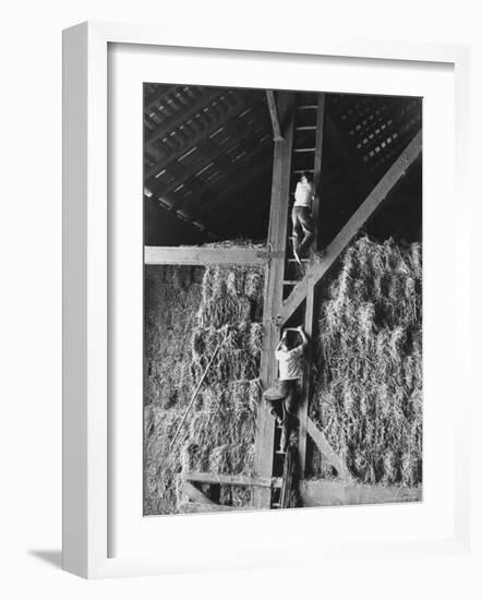 Two Boys Playing in a Barn-Ed Clark-Framed Photographic Print