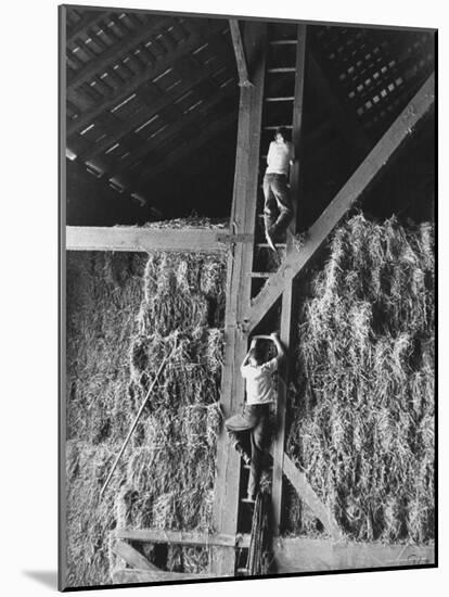 Two Boys Playing in a Barn-Ed Clark-Mounted Photographic Print