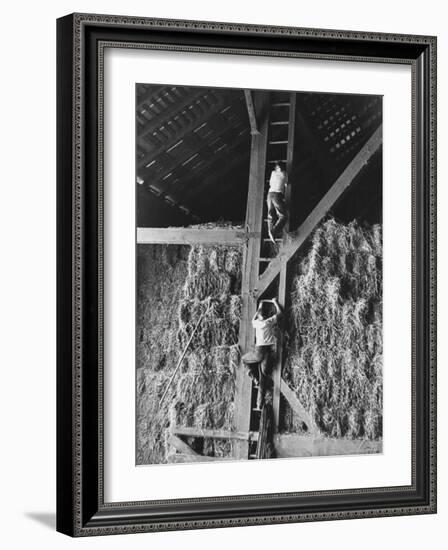 Two Boys Playing in a Barn-Ed Clark-Framed Photographic Print