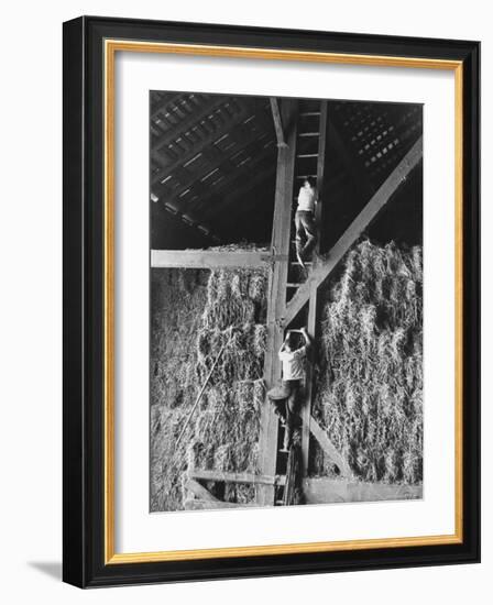 Two Boys Playing in a Barn-Ed Clark-Framed Photographic Print