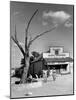 Two Boys Playing Nr. a Dead Tree as Judge Roy Langrty and a Man Walk Past a General Store-Alfred Eisenstaedt-Mounted Photographic Print