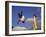 Two Boys Practice Capoeira, the Brazilian Martial Art-Camilla Watson-Framed Photographic Print