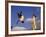 Two Boys Practice Capoeira, the Brazilian Martial Art-Camilla Watson-Framed Photographic Print