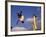 Two Boys Practice Capoeira, the Brazilian Martial Art-Camilla Watson-Framed Photographic Print