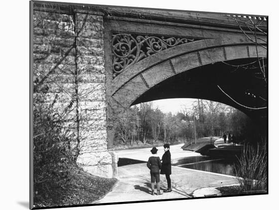 Two Boys Standing under the Ornate Arch of a Bridge in Prospect Park, Brooklyn, Ny-Wallace G^ Levison-Mounted Photographic Print