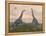 Two Brachiosaurus Dinosaurs Fighting-null-Framed Stretched Canvas