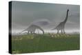 Stretched Canvas Print