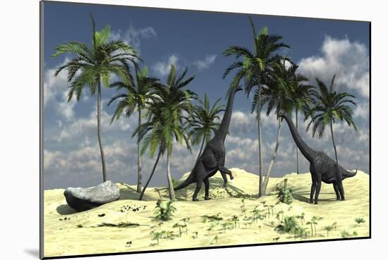 Two Brachiosaurus Dinosaurs Grazing on Trees-null-Mounted Art Print